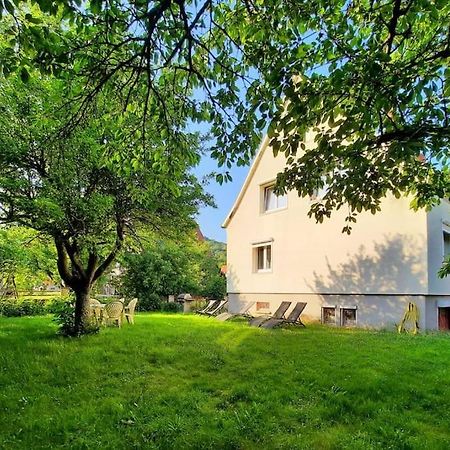 Rooms 4 Persons Kaysersberg Extérieur photo