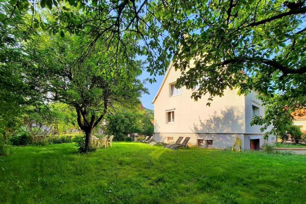 Rooms 4 Persons Kaysersberg Extérieur photo